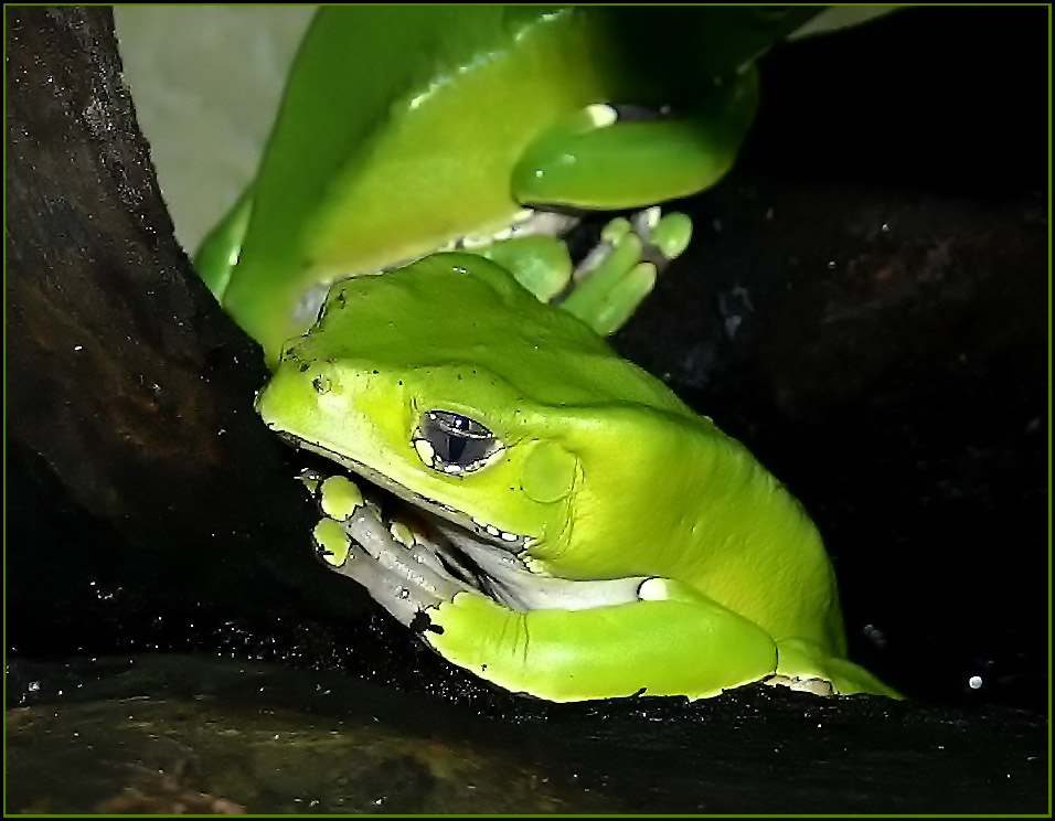 1.6